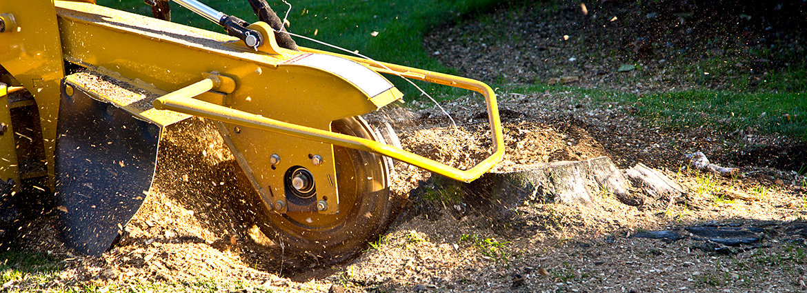 MI Stump Removal